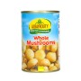 Mushroom Albayrouty 400Gr