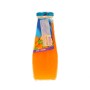 Karotte und Orange Saft seles 250 ml