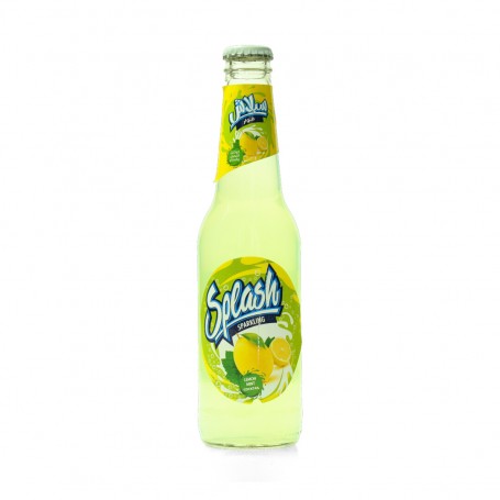 Zitrone und Minze saft splash 330ml