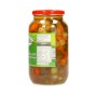 Tarshi Najaf  Shahia 1300GR