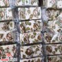 Noga Arabic Sweets 500Gr