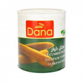 Pickled Cucumber Dana  3200Gr