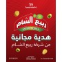 Gift Rabeaa Alsham