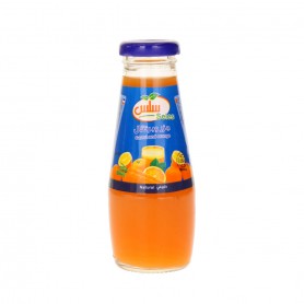 Karotte und Orange Saft seles 250 ml