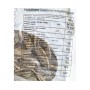 Sunflower seeds  Jabal alqosh 200Gr